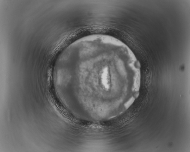 X0000116030742200912111415