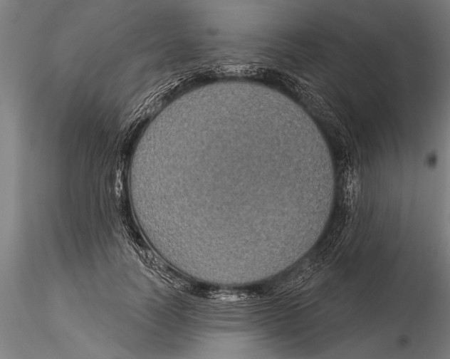 X0000116030746200912111415