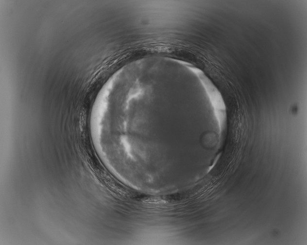 X0000116030747200912111415