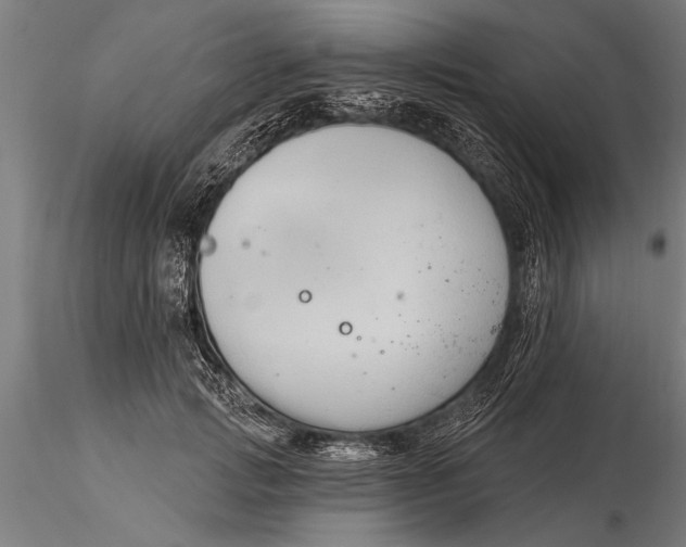 X0000116030749200912111415