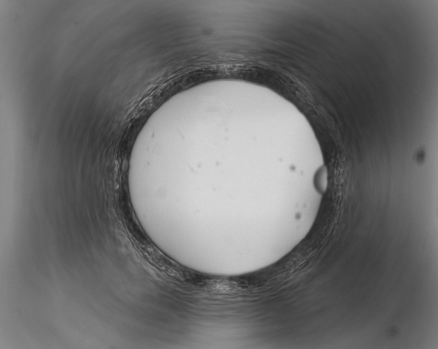 X0000116030750200912111415