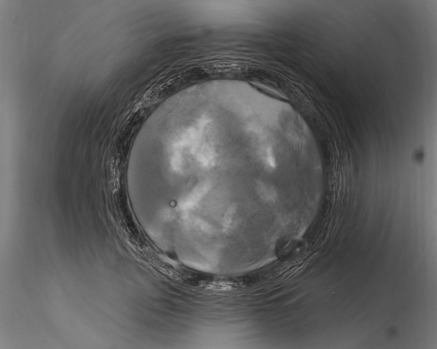 X0000116030751200912111416