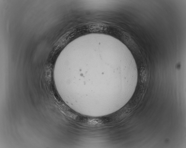 X0000116030753200912111416