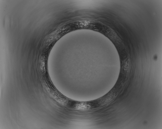 X0000116030754200912111416