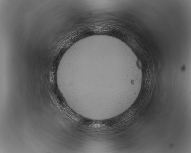 X0000116030755200912111416