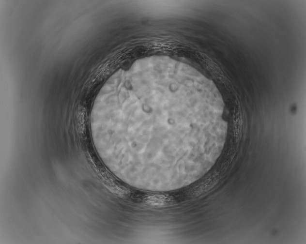 X0000116030757200912111416