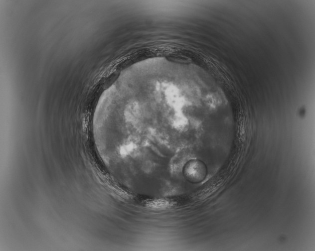 X0000116030759200912111416