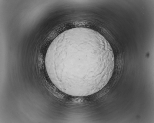 X0000116030761200912111416