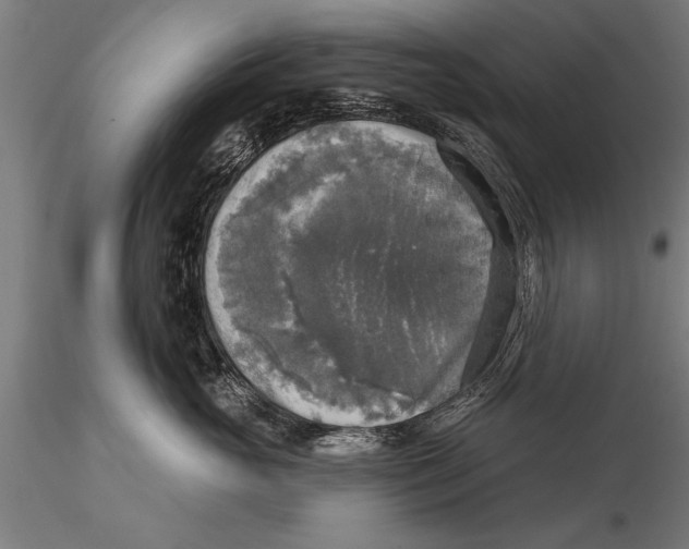 X0000116030765200912111416