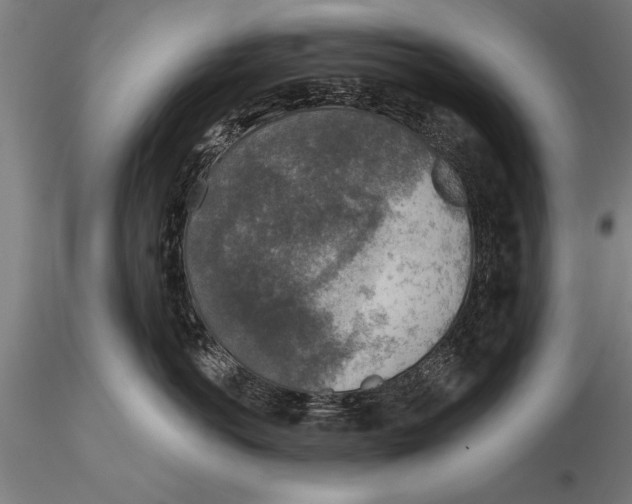 X0000116030766200912111416