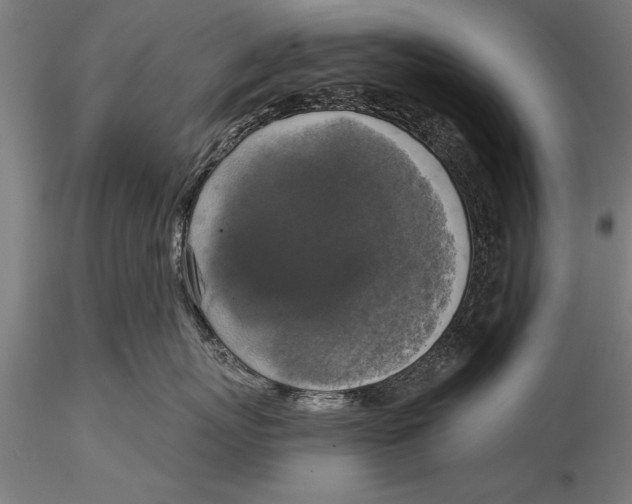 X0000116030767200912111416