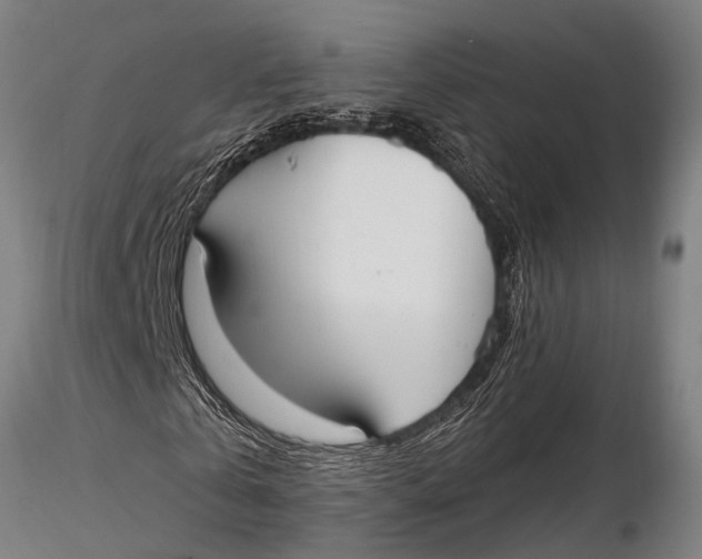 X0000116030769200912111415