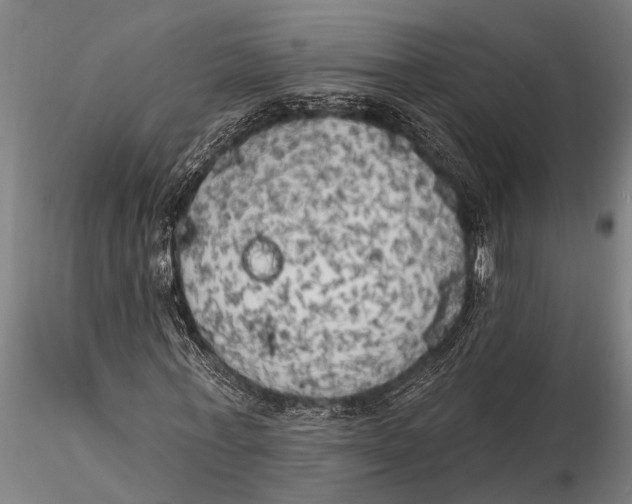 X0000116030771200912111415