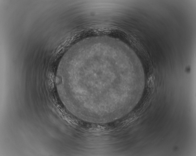 X0000116030772200912111415