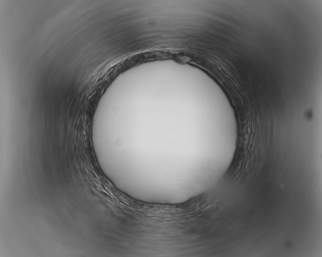 X0000116030773200912111415