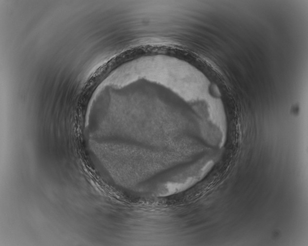 X0000116030775200912111415