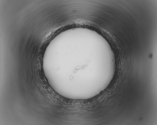 X0000116030776200912111415