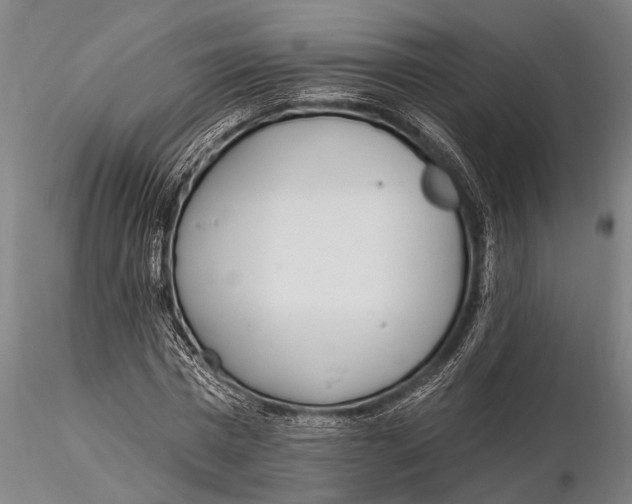 X0000116030777200912111415