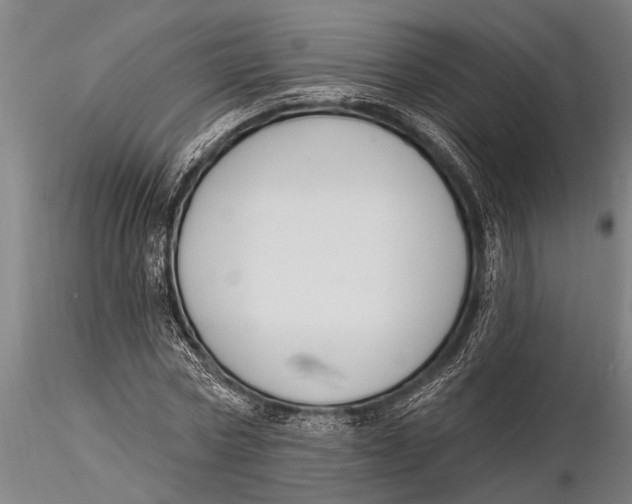 X0000116030778200912111415