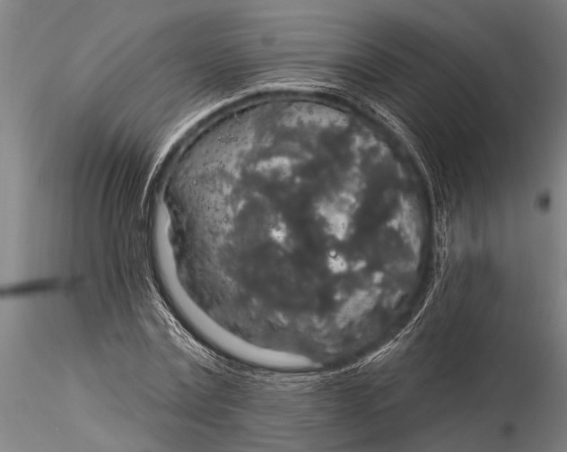 X0000116030779200912111415