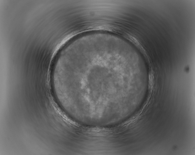 X0000116030780200912111415