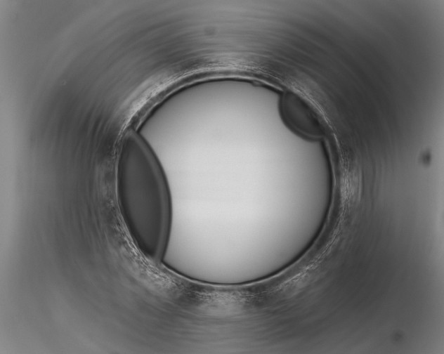 X0000116030781200912111415