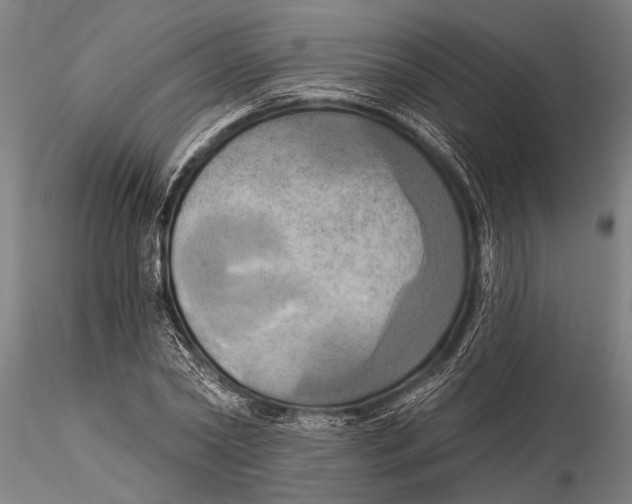 X0000116030782200912111415