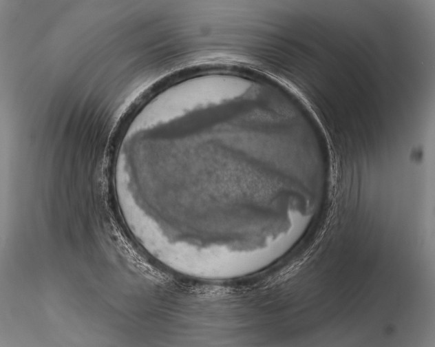 X0000116030783200912111415