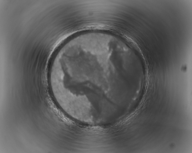 X0000116030784200912111415