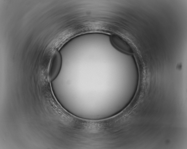 X0000116030785200912111415