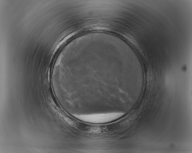 X0000116030790200912111415