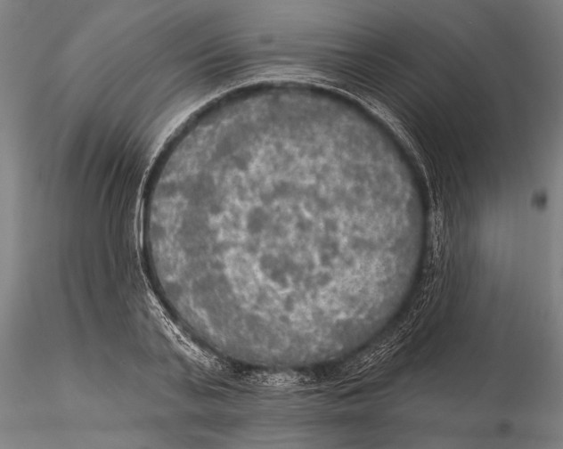 X0000116030791200912111415