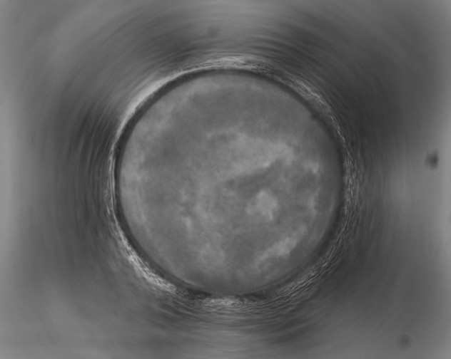 X0000116030792200912111415