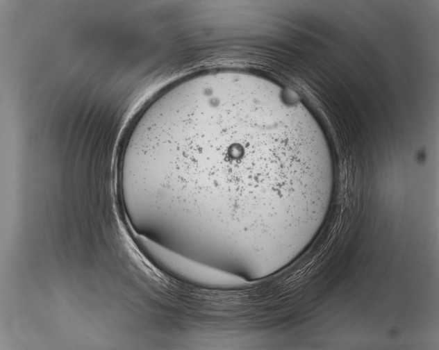 X0000116030795200912111415