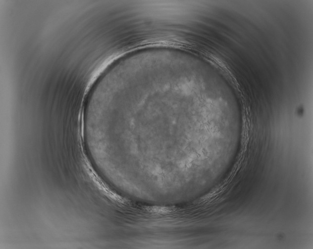 X0000116030796200912111415