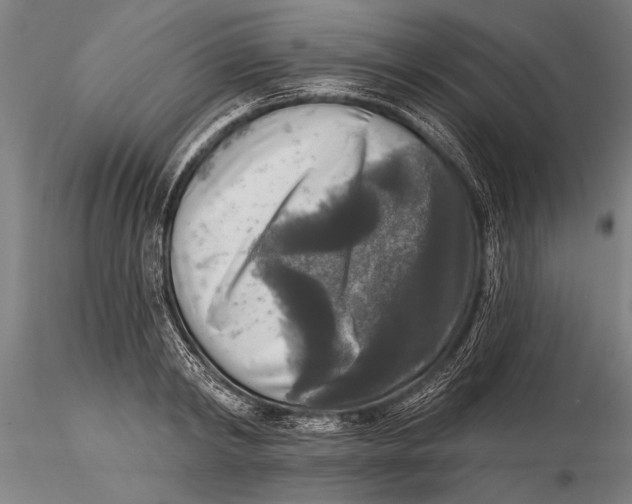 X0000116030798200912111415