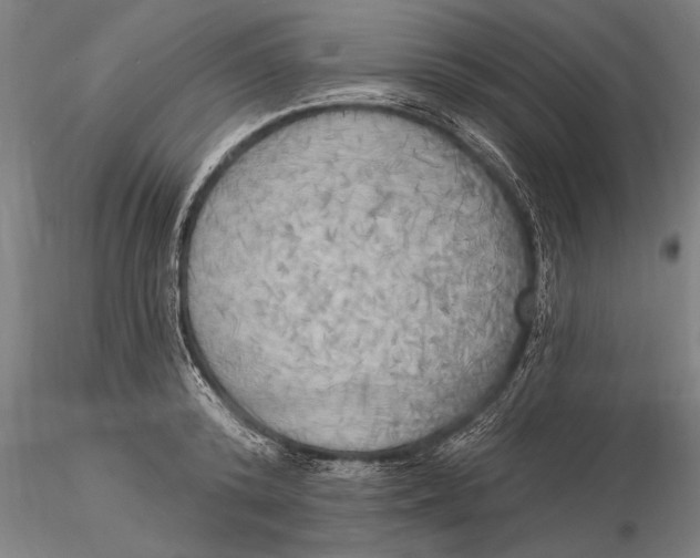 X0000116030800200912111414