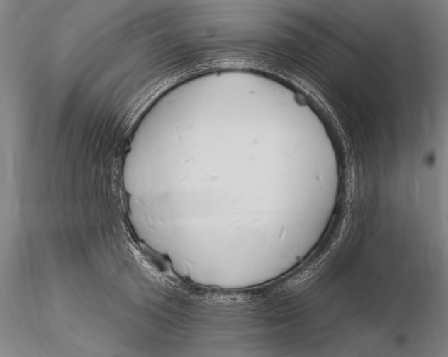 X0000116030801200912111414