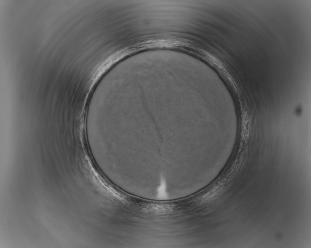 X0000116030802200912111414