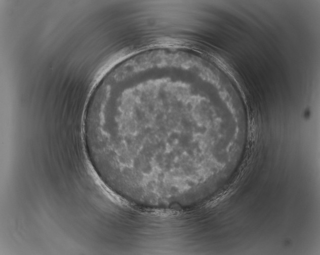 X0000116030803200912111414