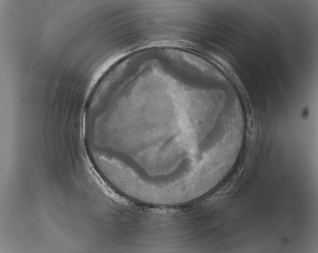 X0000116030804200912111414