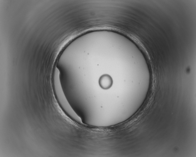 X0000116030805200912111414