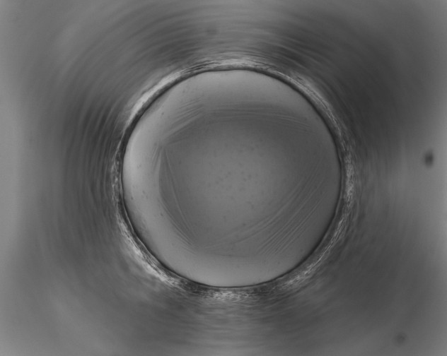 X0000116030806200912111414