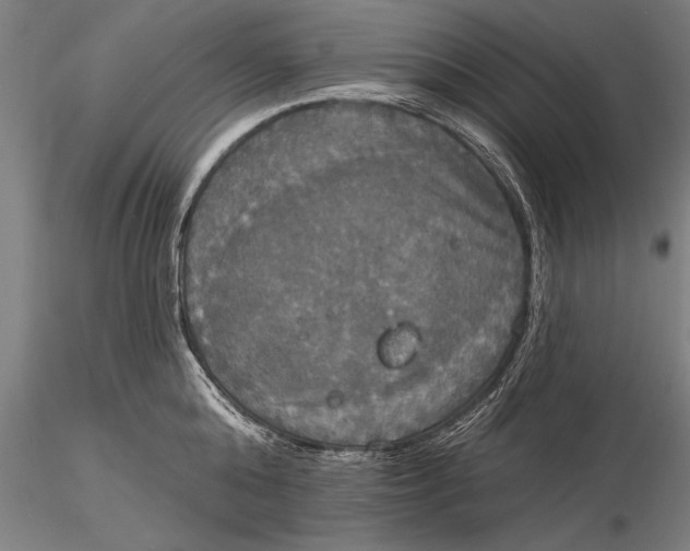 X0000116030808200912111414