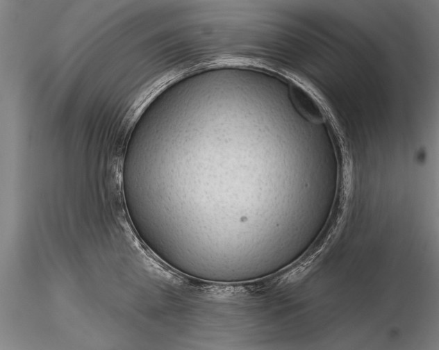 X0000116030809200912111414