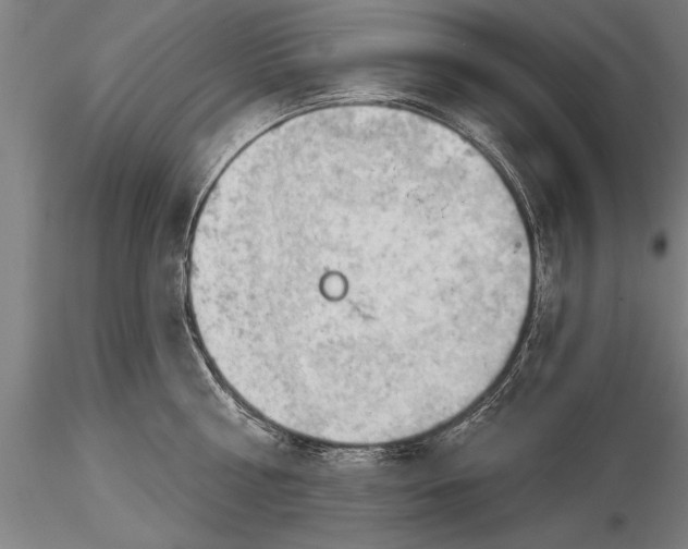 X0000116030810200912111414