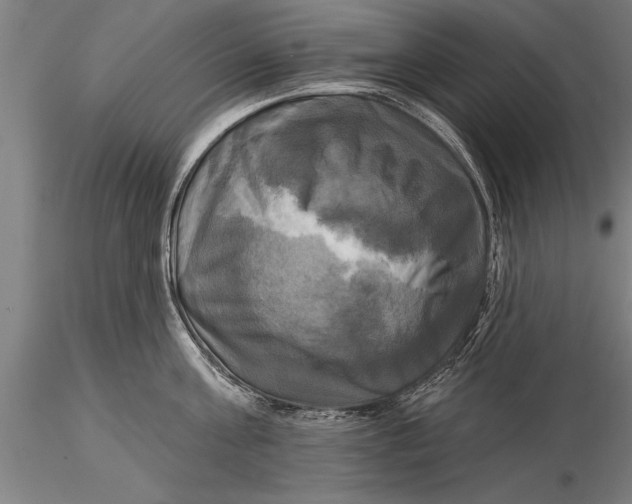 X0000116030811200912111414