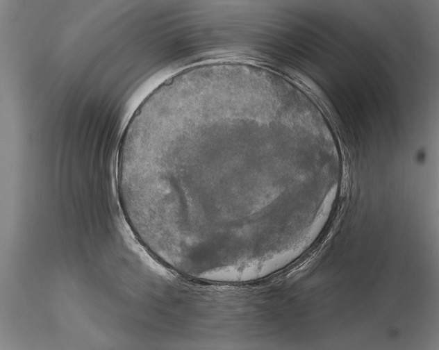 X0000116030812200912111414