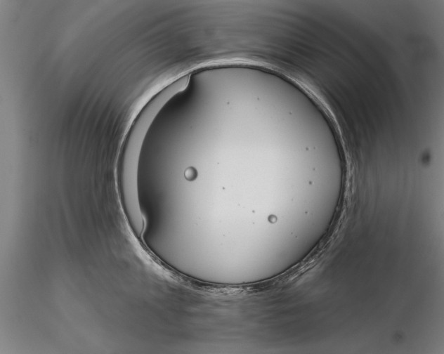 X0000116030813200912111414