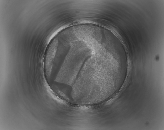 X0000116030814200912111414